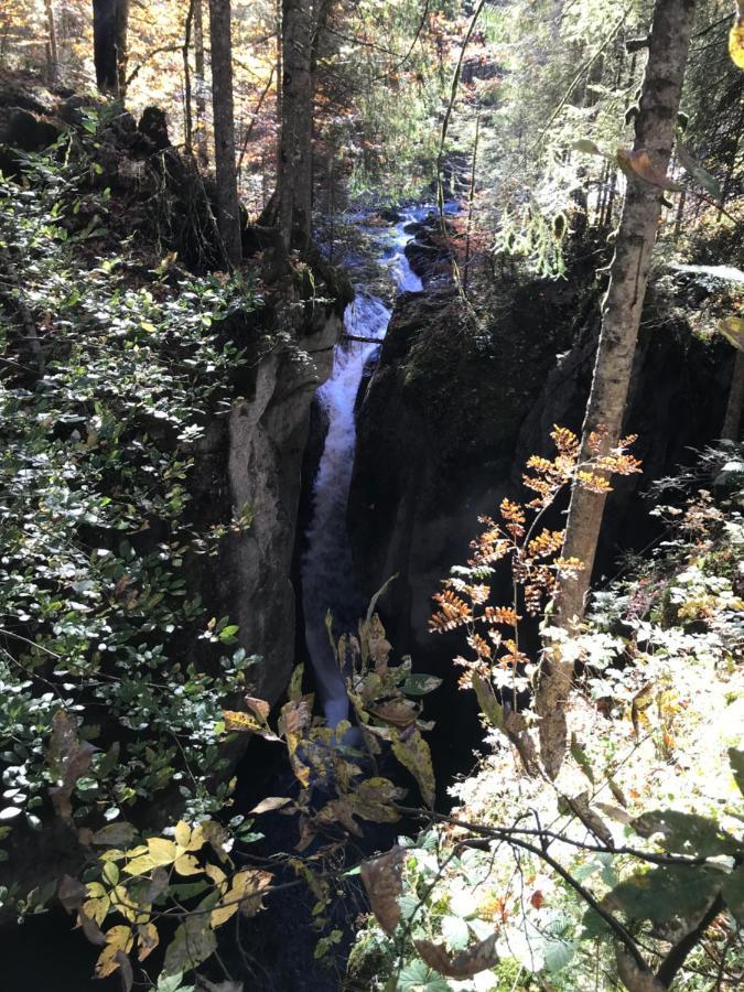 SibratsgfällKraehenberg Am Rande Der Wildnis公寓 外观 照片