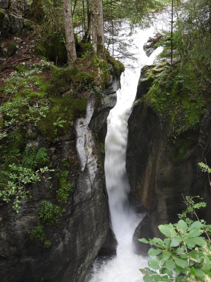 SibratsgfällKraehenberg Am Rande Der Wildnis公寓 外观 照片